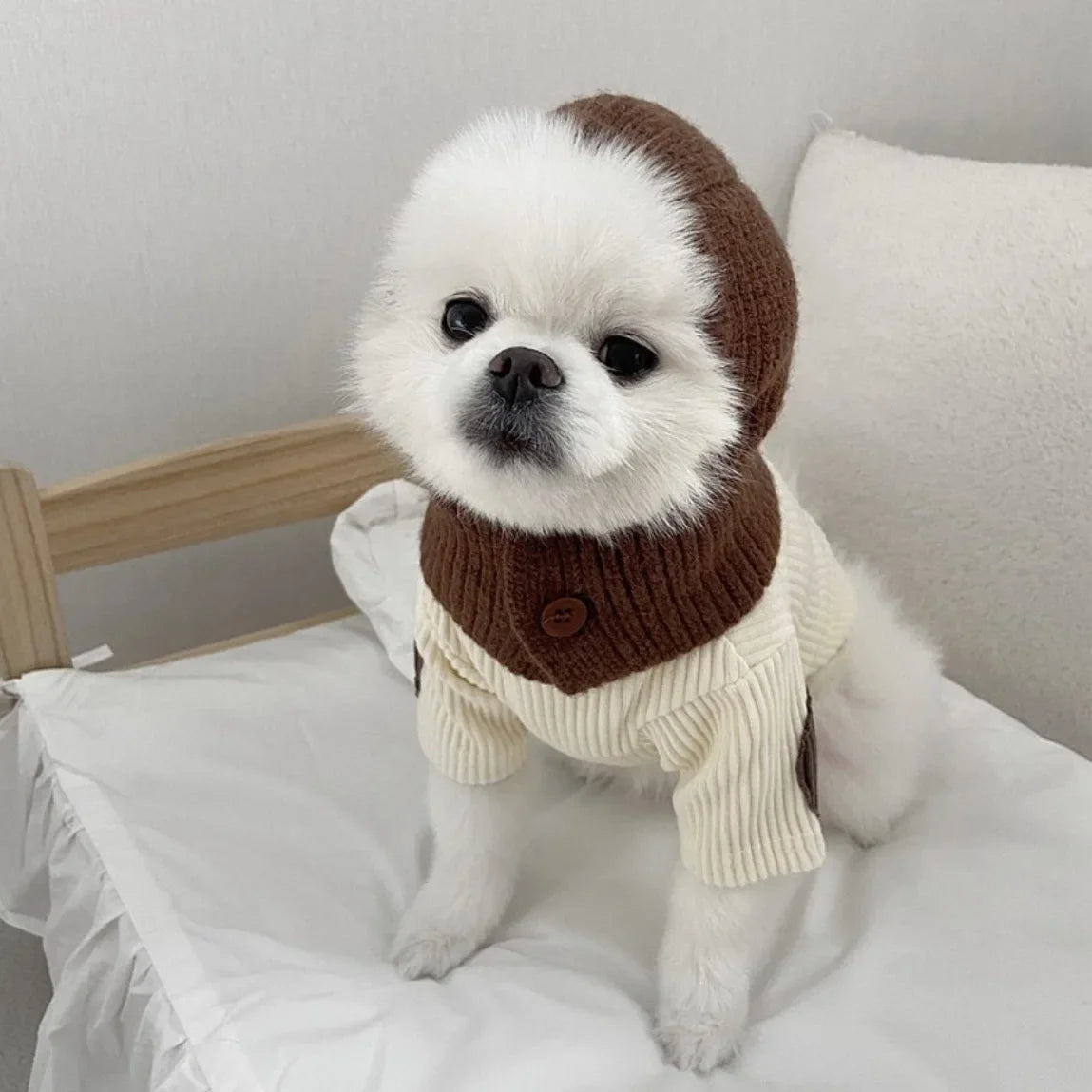 Pet Warmth Cover Head Knitted Hat Autumn and Winter Cute Cat Dog Small Dog Decoration Teddy Dog Accessories for Small Dogs